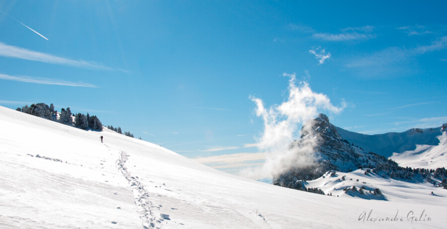 hauts de chartreuse